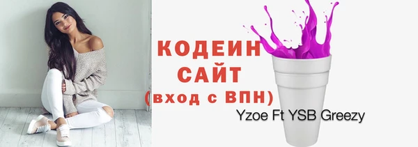 гашик Новодвинск