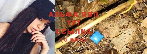 твердый Нефтекумск