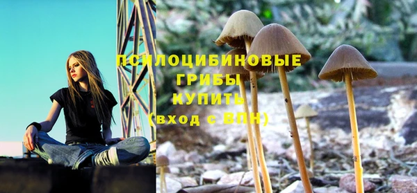 твердый Нефтекумск