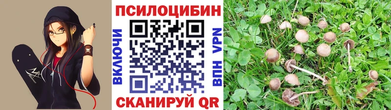 Купить  Алупка  Псилоцибиновые грибы Cubensis 